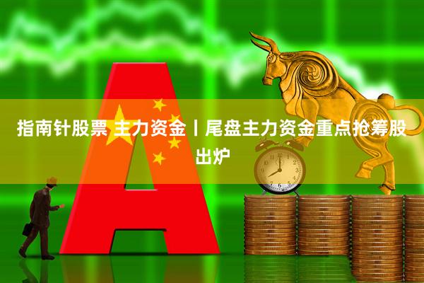 指南针股票 主力资金丨尾盘主力资金重点抢筹股出炉