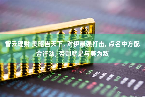 智云理财 美昭告天下, 对伊最强打击, 点名中方配合行动, 否则就是与美为敌
