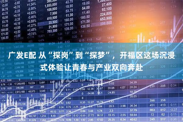 广发E配 从“探岗”到“探梦”，开福区这场沉浸式体验让青春与产业双向奔赴